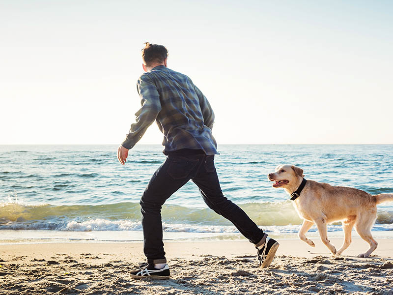 dog and human running on beach